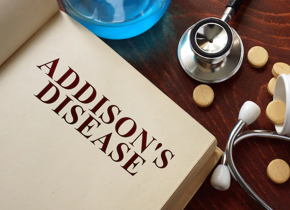 Addison-Krankheit bei Hunden